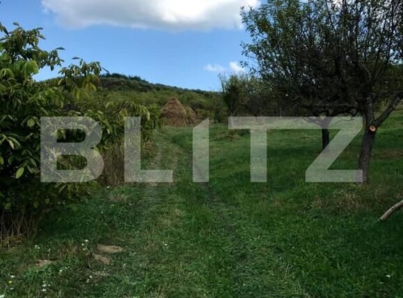 Teren de vânzare Unirea - 143619TV | BLITZ Bistriţa | Poza1
