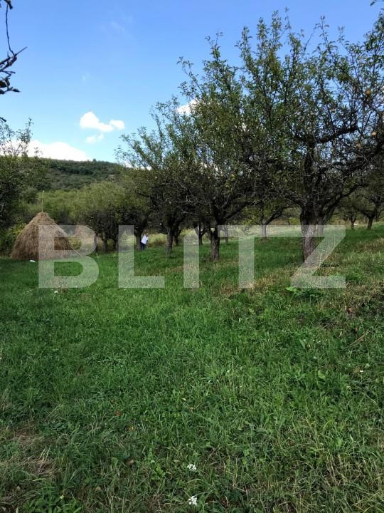 Teren de vânzare Unirea - 143619TV | BLITZ Bistriţa | Poza4