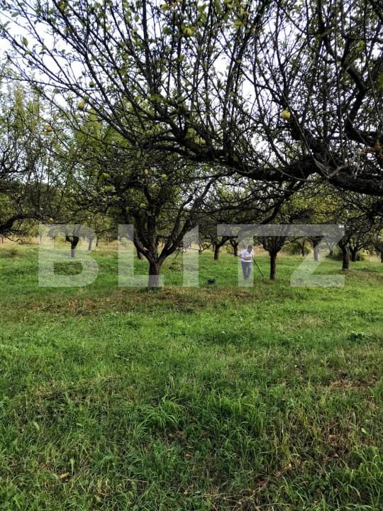 Teren de vânzare Unirea - 143619TV | BLITZ Bistriţa | Poza2