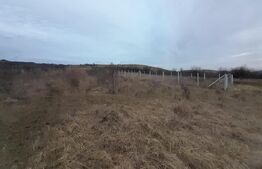 Teren extravilan 1800 mp, zona Chigir