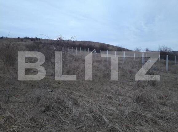 Teren de vânzare Exterior Sud - 143620TV | BLITZ Bistriţa | Poza2