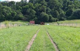 Teren Arcalia 3000mp Intravilan