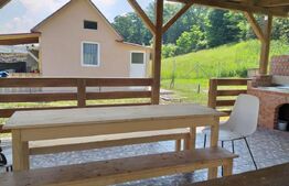 Teren Arcalia 3000mp Intravilan