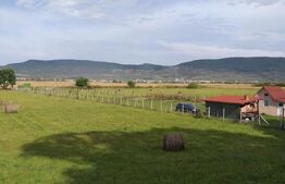 Teren Arcalia 3000mp Intravilan