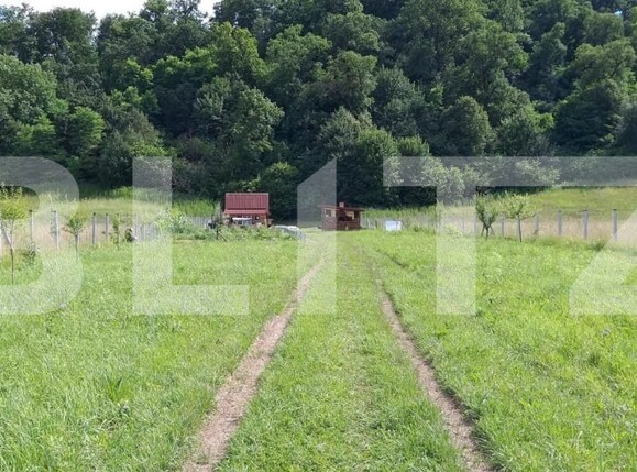 Teren de vânzare Sud-Est - 144281TV | BLITZ Bistriţa | Poza7