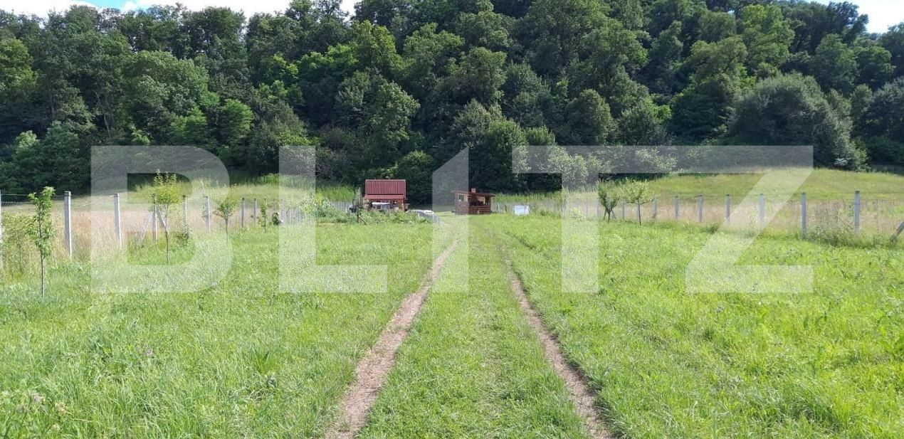 Teren de vânzare Sud-Est - 144281TV | BLITZ Bistriţa | Poza7