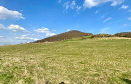 Teren Intravilan, 10 arii în Sărățel