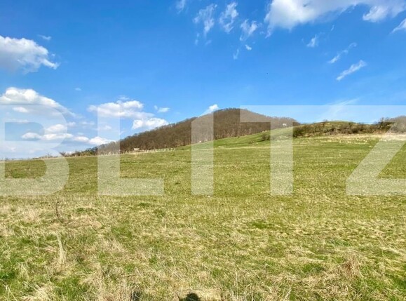 Teren de vânzare Sud - 144389TV | BLITZ Bistriţa | Poza1