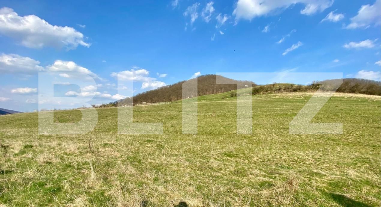 Teren de vânzare Sud - 144389TV | BLITZ Bistriţa | Poza1