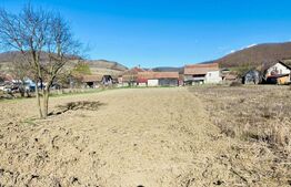 Casă cu 4 camere, anexe și 17 arii de teren la 20 km de oraș 