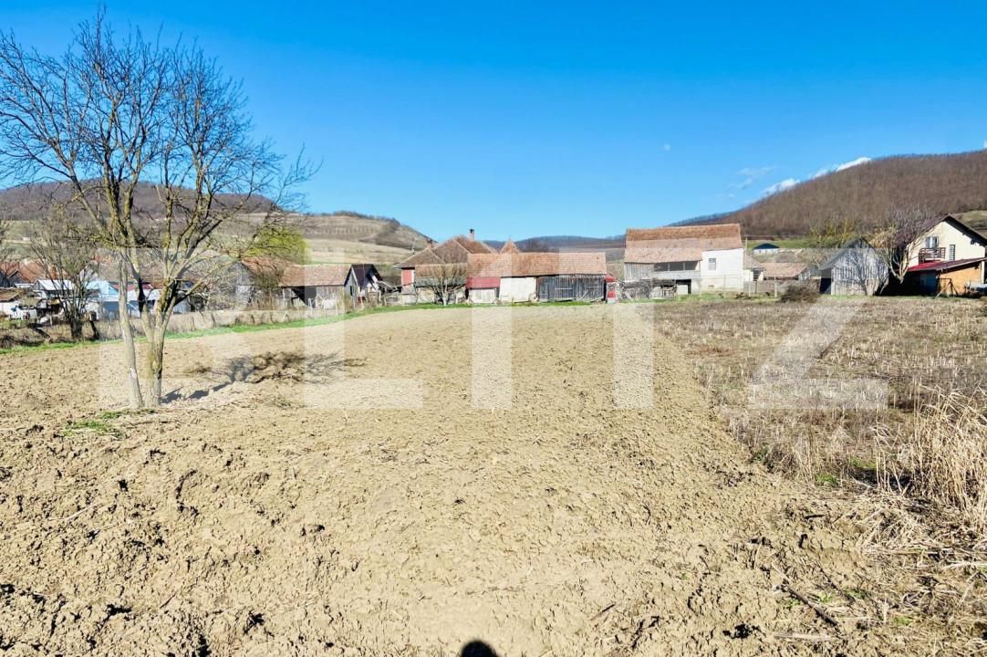 Casa de vânzare 4 camere Periferie - 144391CV | BLITZ Bistriţa | Poza14