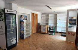 Casa zona Centrala 130mp