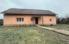 Casa individuala, 2 camere, 138mp, Livezile