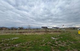 Cabana la 8km de Bistrita