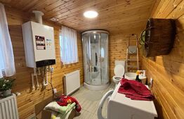 Cabana la 8km de Bistrita