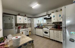 Pensiune 10 camere, 5 ha teren, la 30 km de Bistrita 