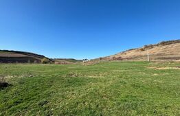 Pensiune 10 camere, 5 ha teren, la 30 km de Bistrita 