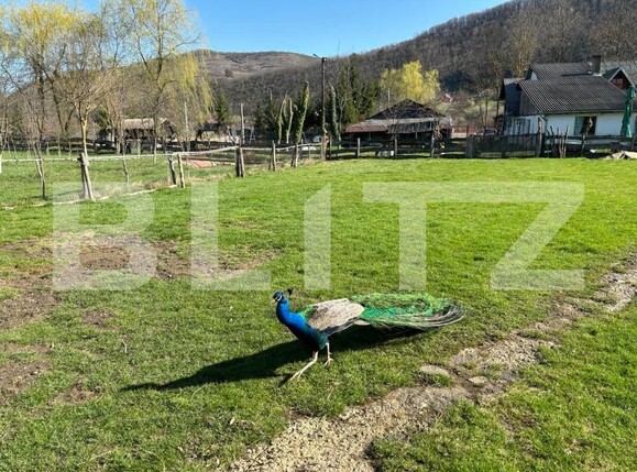 Casa de vânzare 5 camere Exterior Vest - 145830CV | BLITZ Bistriţa | Poza15