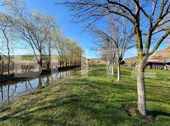 Casa de vânzare 5 camere Exterior Vest - 145830CV | BLITZ Bistriţa | Poza14