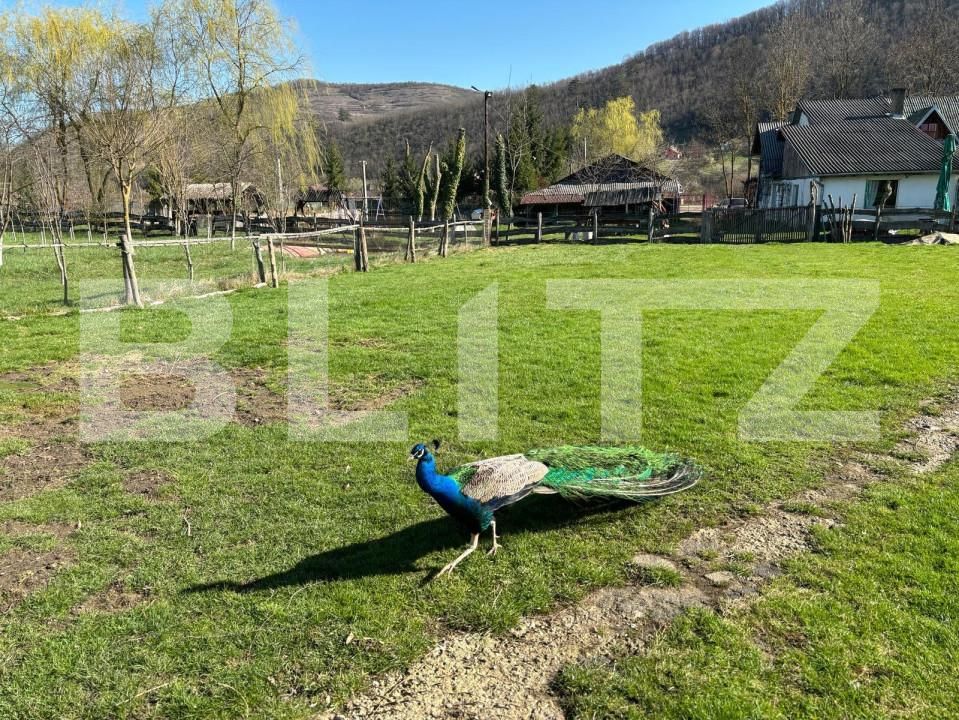 Casa de vânzare 5 camere Exterior Vest - 145830CV | BLITZ Bistriţa | Poza15