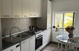 Apartament 1 camera, 41mp, spatios, zona Sud