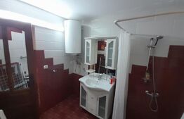 Cabana agrement, 3 camere, 100mp, Exterior Sud