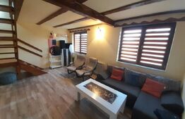 Cabana agrement, 3 camere, 100mp, Exterior Sud