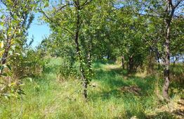 Casa individuala, 700mp, terasa, Nasaud