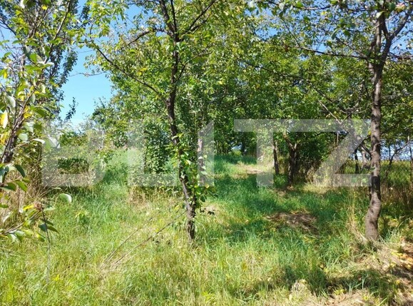 Casa de vânzare 3 camere Nasaud - 145876CV | BLITZ Bistriţa | Poza2