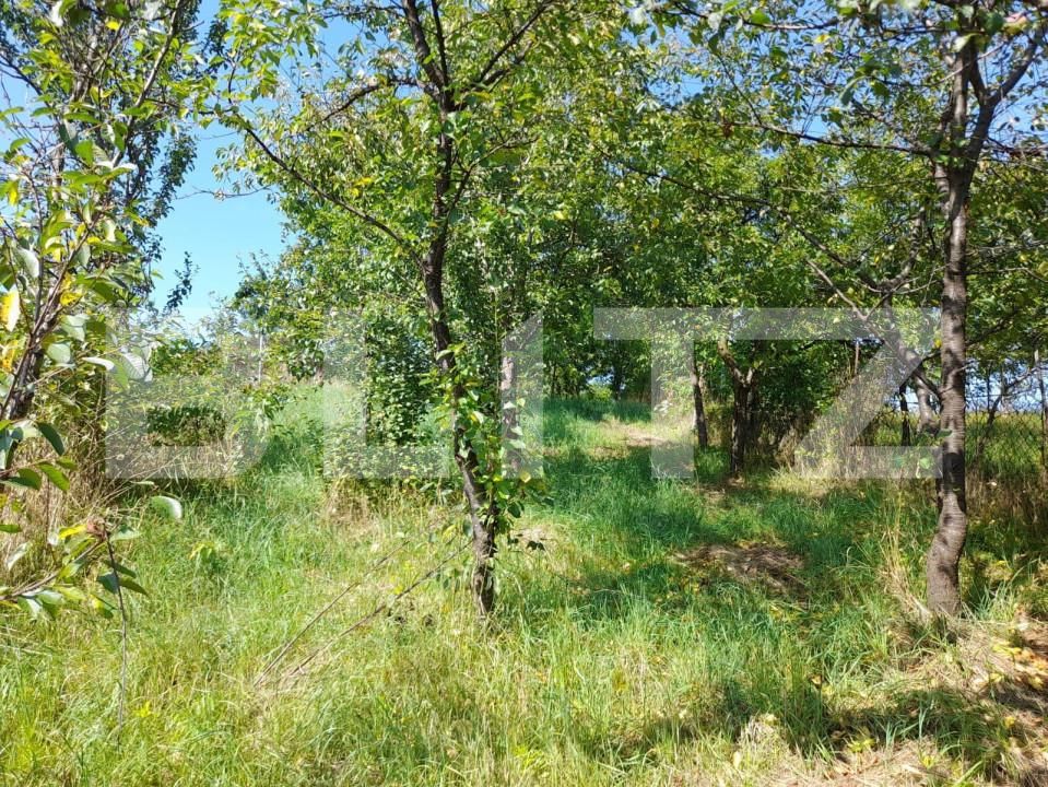 Casa de vânzare 3 camere Nasaud - 145876CV | BLITZ Bistriţa | Poza2