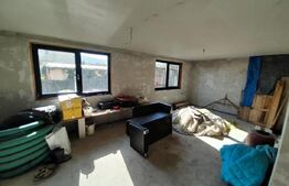 Casa individuala, 182mp, 700 mp teren, Viisoara