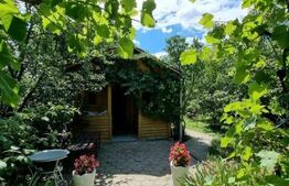 Casa 4 dormitoare, 256mp utili, 1100mp teren, zona Libertatii