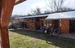 Casa 3 camere, 226mp, in apropierea orasului