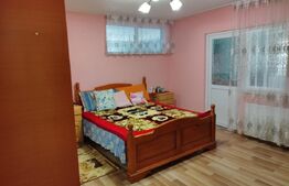 Casa 3 camere, 226mp, in apropierea orasului