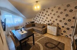 Apartament 2 camere decomandat, 50mp, zona BIG