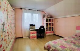 Casa individuala, 5 camere, 220mp utili, teren 13 ari, Unirea