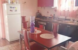 Casa De Vanzare 120 mp utili, 8 ari de teren,  Jelna 