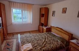 Casa de vanzare ,teren 4000mp, Prundu Bargaului