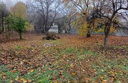 Casa de vanzare ,teren 4000mp, Prundu Bargaului