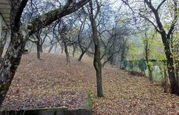 Casa de vanzare ,teren 4000mp, Prundu Bargaului