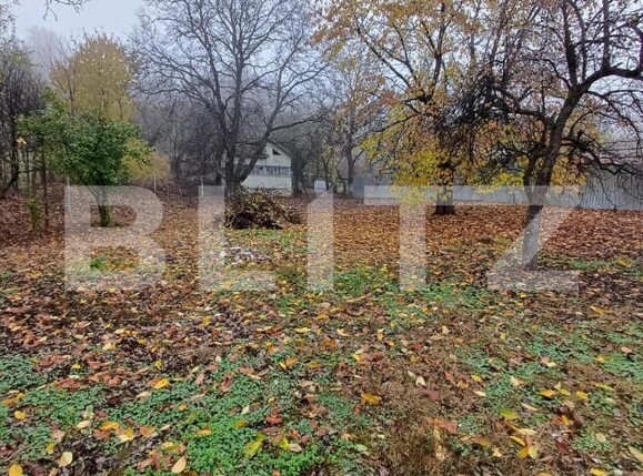 Casa de vânzare 4 camere Nord - 146816CV | BLITZ Bistriţa | Poza3