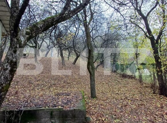 Casa de vânzare 4 camere Nord - 146816CV | BLITZ Bistriţa | Poza4