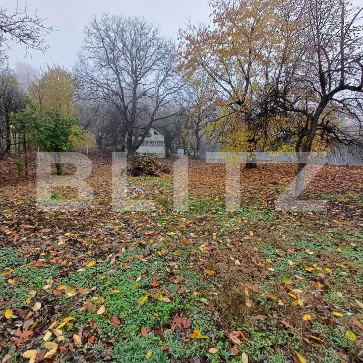 Casa de vânzare 4 camere Nord - 146816CV | BLITZ Bistriţa | Poza3