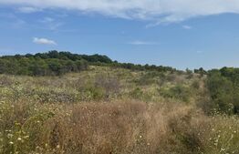 Teren de vanzare extravilan 10819 mp, zona La Soare