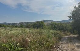 Teren de vanzare extravilan 10819 mp, zona La Soare