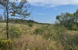 Teren de vanzare extravilan 10819 mp, zona La Soare