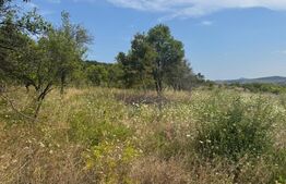 Teren de vanzare extravilan 10819 mp, zona La Soare
