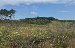 Teren de vanzare extravilan 10819 mp, zona La Soare