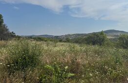 Teren de vanzare extravilan 10819 mp, zona La Soare