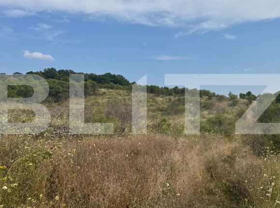 Teren de vânzare Sud-Vest - 146855TV | BLITZ Bistriţa | Poza5